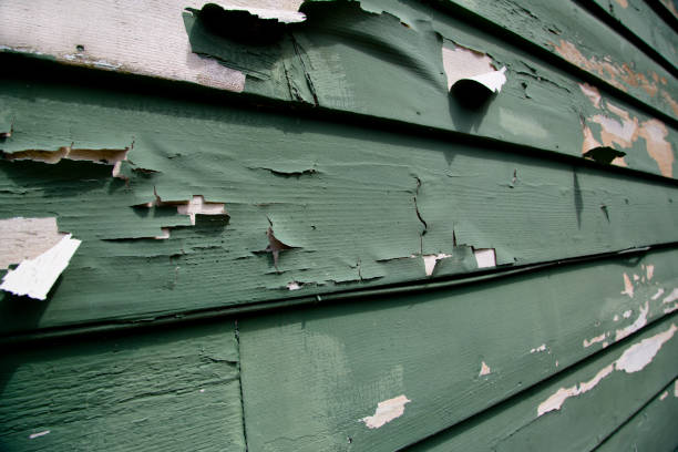 Best Siding for New Construction  in Old Stine, CA