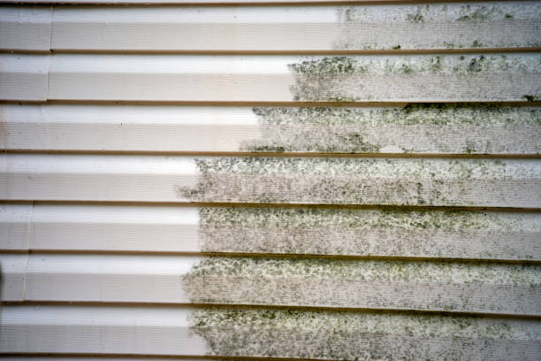 Best Engineered Wood Siding  in Old Stine, CA