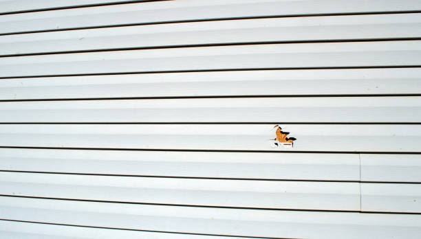 Best Engineered Wood Siding  in Old Stine, CA