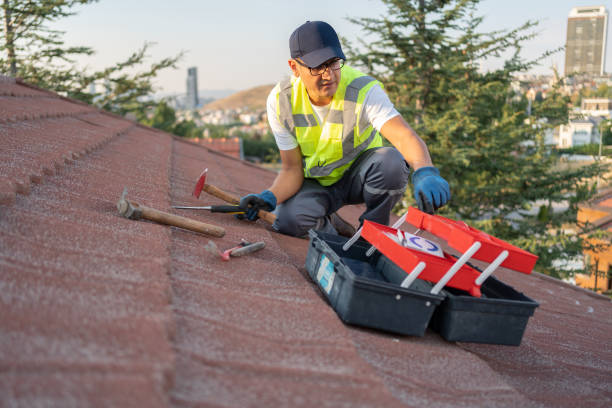 Best Residential Vinyl Siding Installation  in Old Stine, CA