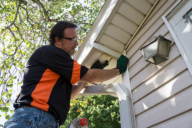 Best Steel Siding Installation  in Old Stine, CA